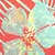 34 / hawaii_koralle